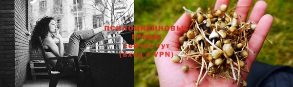 ALPHA PVP Костерёво