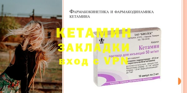 прущие грибы Корсаков