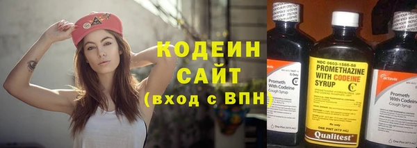 прущие грибы Корсаков