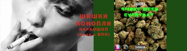 прущие грибы Корсаков