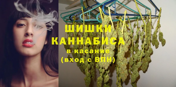 прущие грибы Корсаков