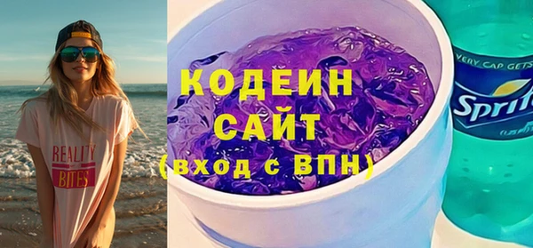 прущие грибы Корсаков