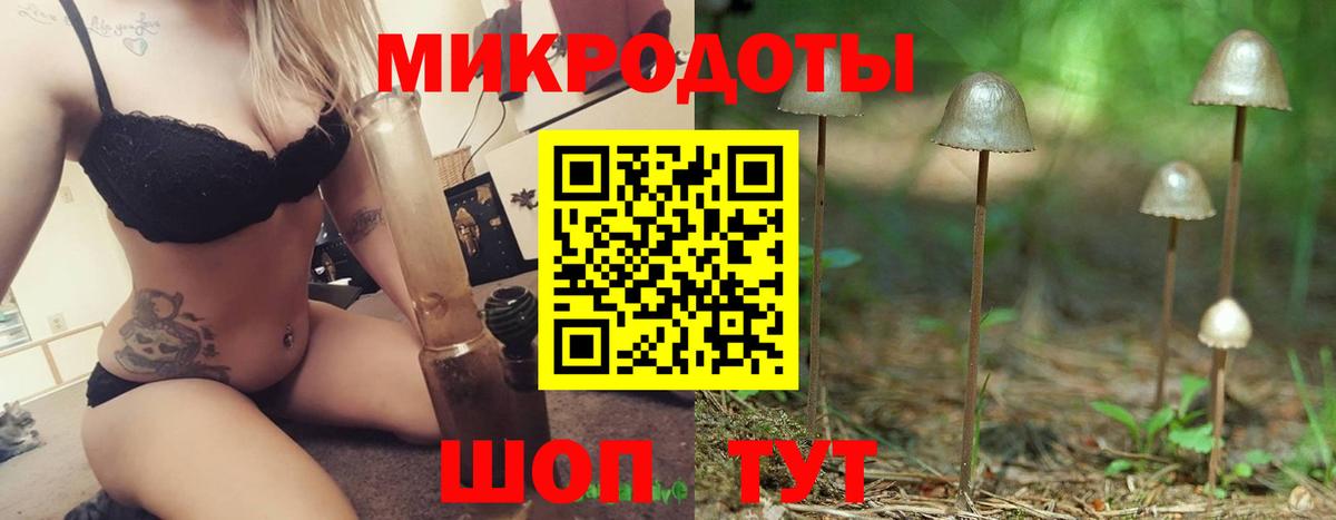 Галлюциногенные грибы прущие грибы Кириши