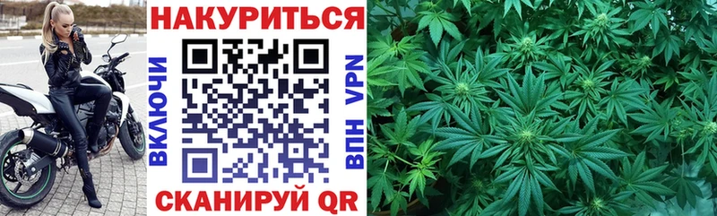 Бошки Шишки ГИДРОПОН Кириши